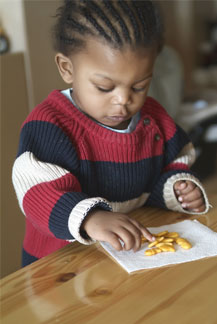 Toddlers Program